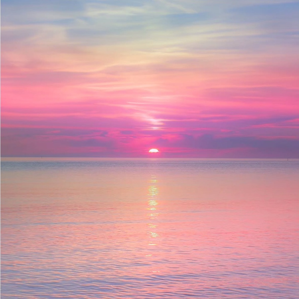 Meet your Posher, Nora